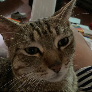 Meet your Posher, Melissa